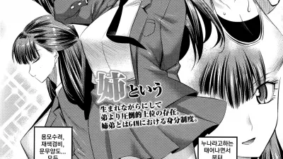 실은 야한 누나의 친구들