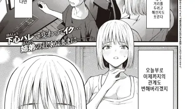 비뚤어진 쐐기