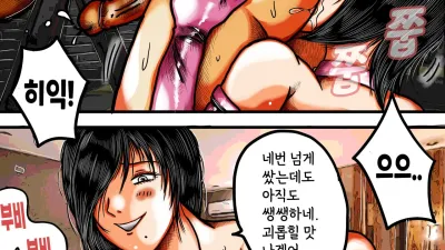 펨돔 만화