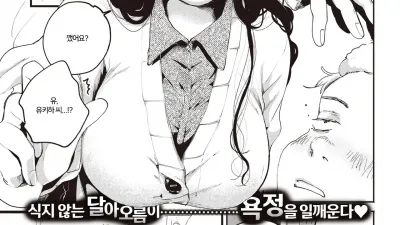 불의 씨앗